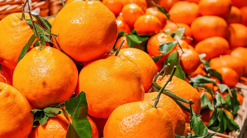 Участники московских ярмарок отправили новогодние подарки бойцам СВО