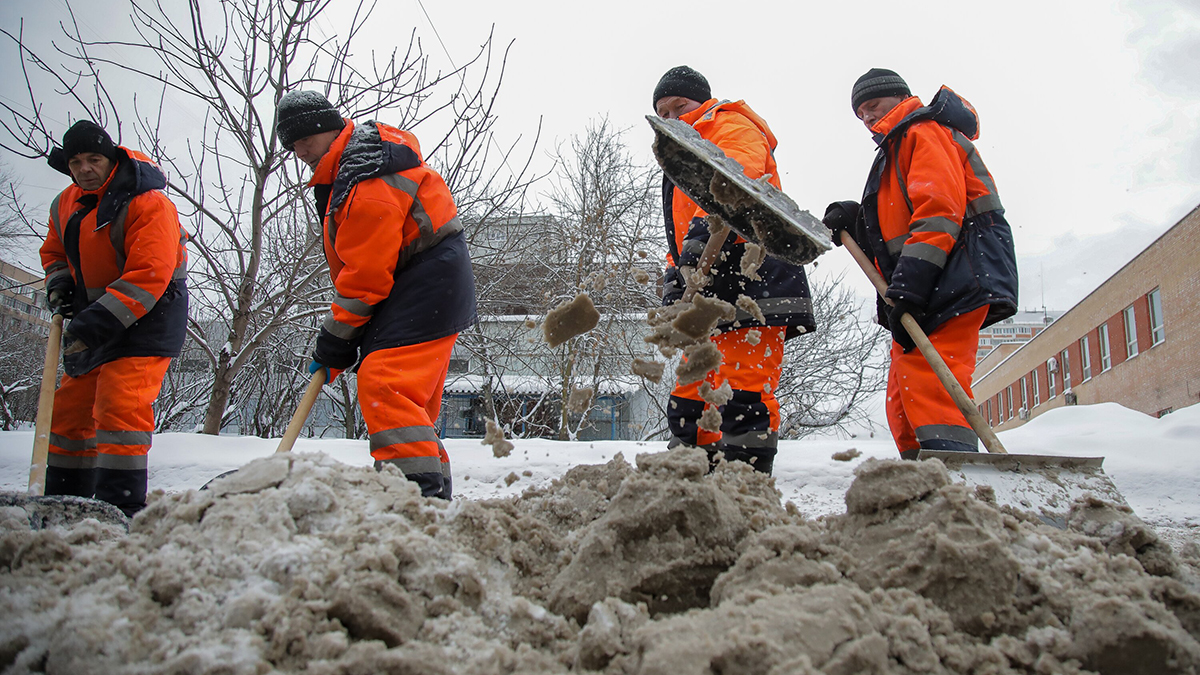 Погода в Москве в первую рабочую неделю 2026 года