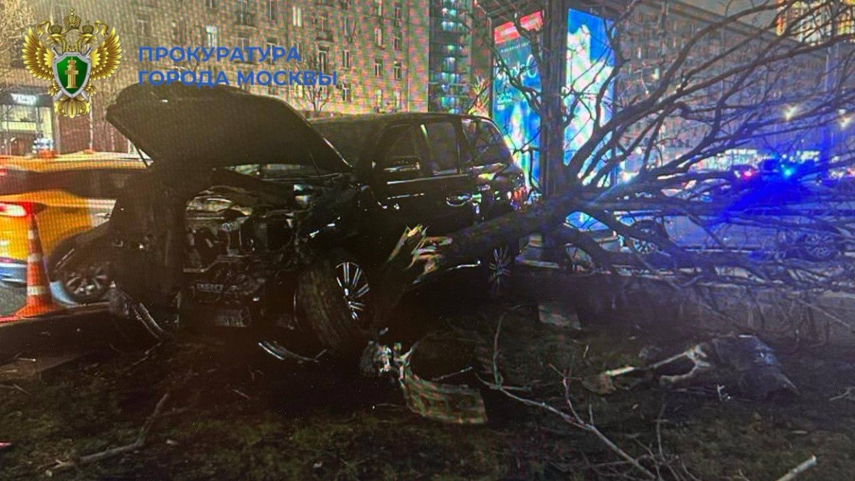 Устроившего ДТП в Москве водителя заставят заплатить за сбитый каштан