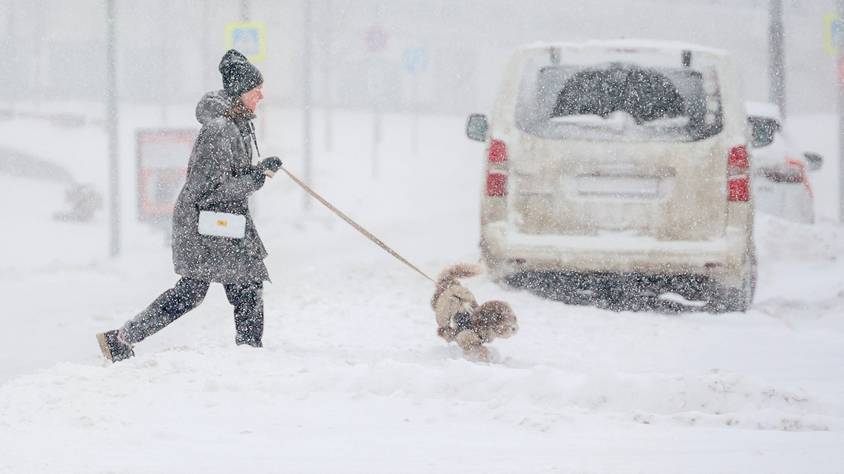 При каких погодных условиях на работе не поставят прогул