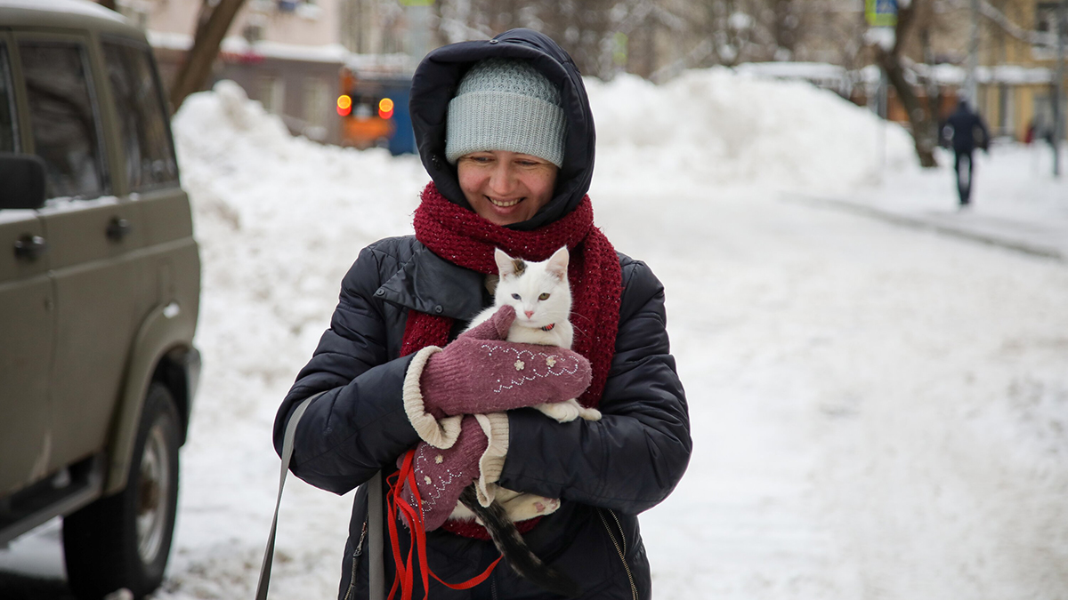 Погода в Москве на выходные 17–18 января