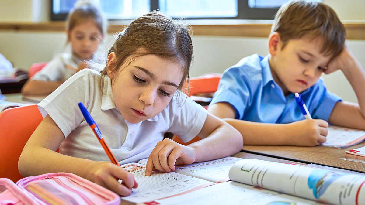 Оценки за поведение в школе могут ввести в РФ: как это будет работать