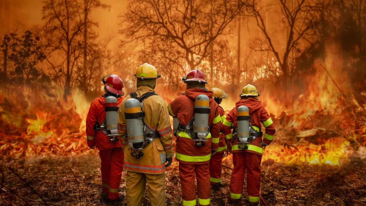 Потепление климата вызывает более частые и интенсивные засухи и жару, создавая условия для возникновения пожаров