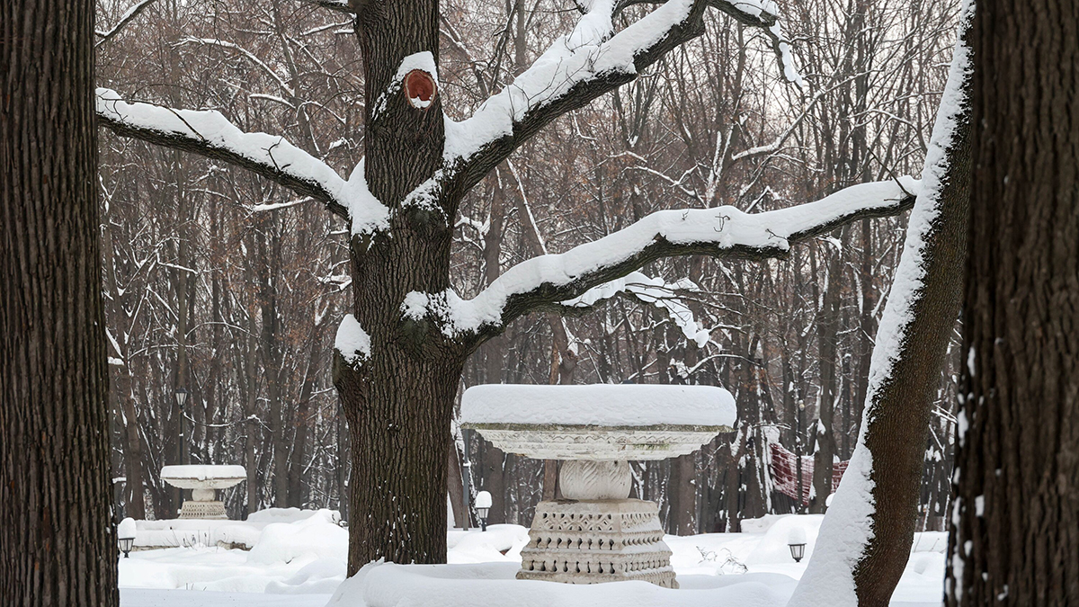 Погода в Москве 26 января 2026 года