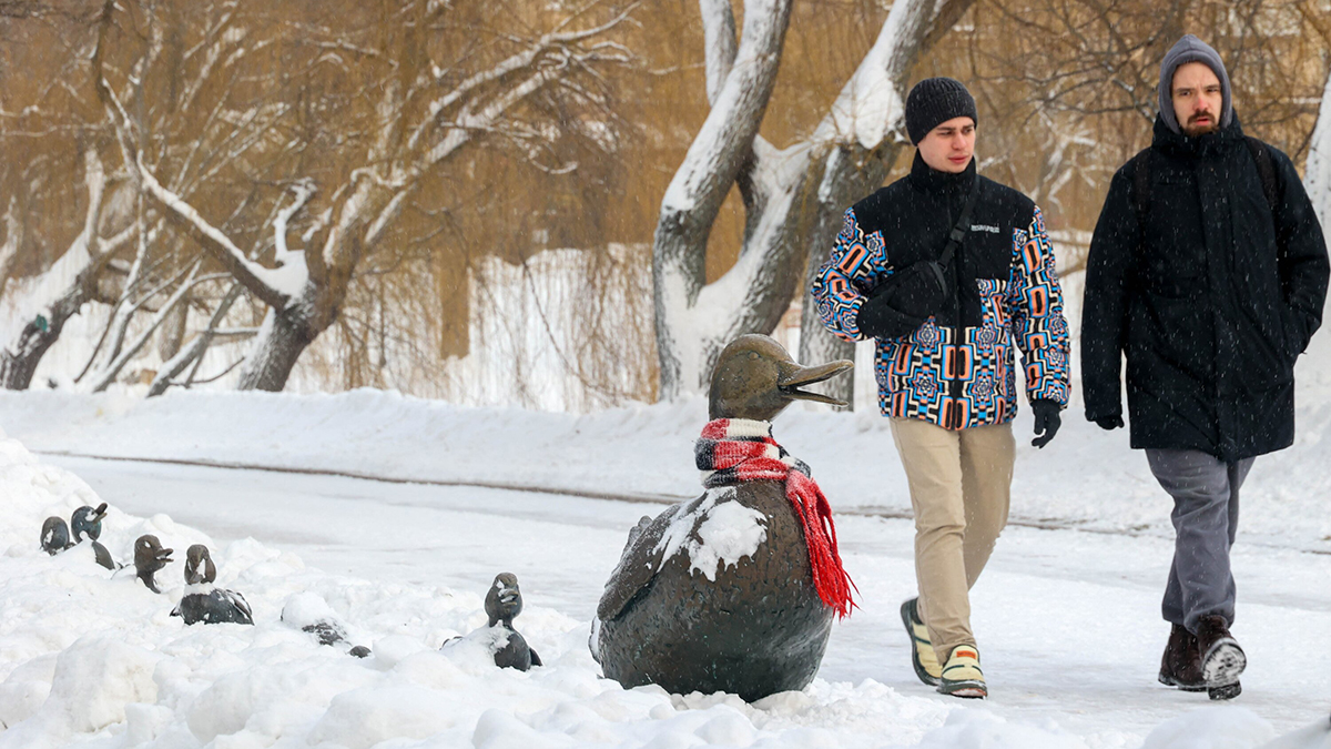 Погода в Центральной России с 26 января по 1 февраля