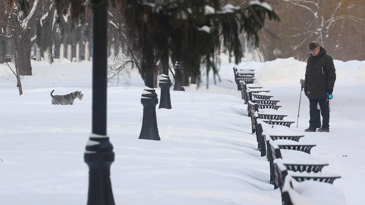 Погода в Москве с 19 по 23 января