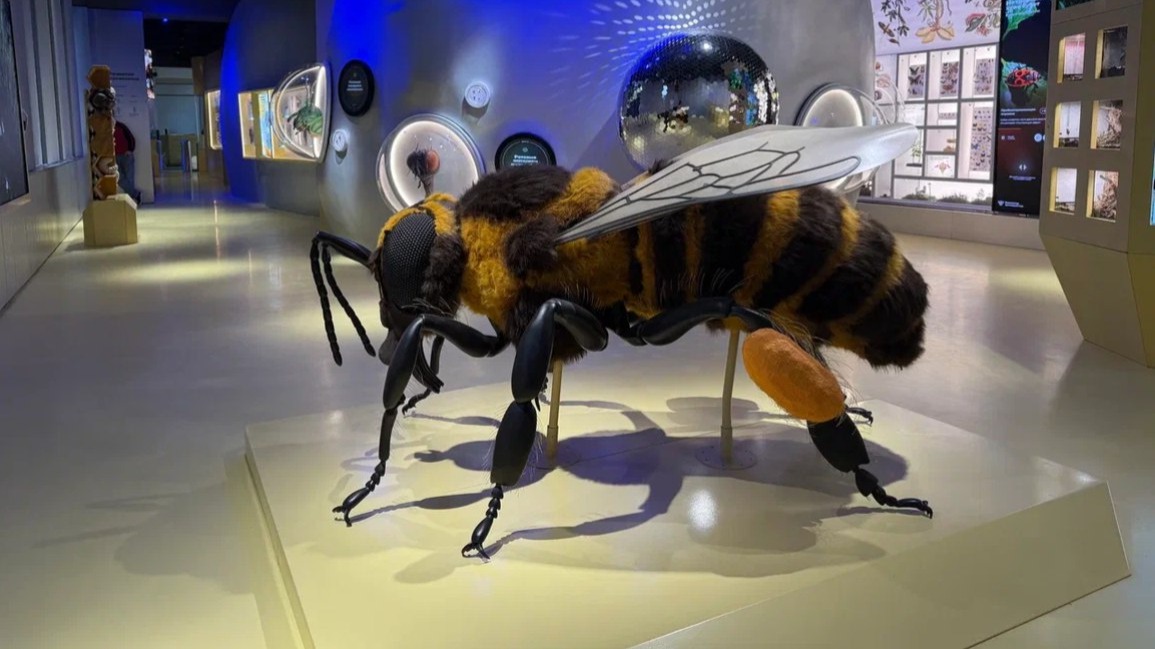 Москвичей пригласили посетить энтомологическую лабораторию в «Биокластере»