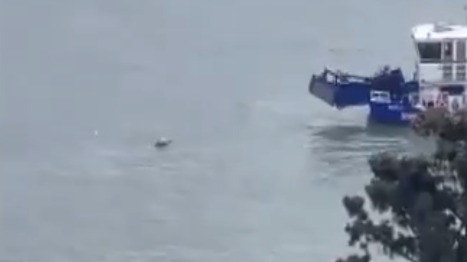 Найденное в Босфоре тело, которое может принадлежать Свечникову, сняли на видео