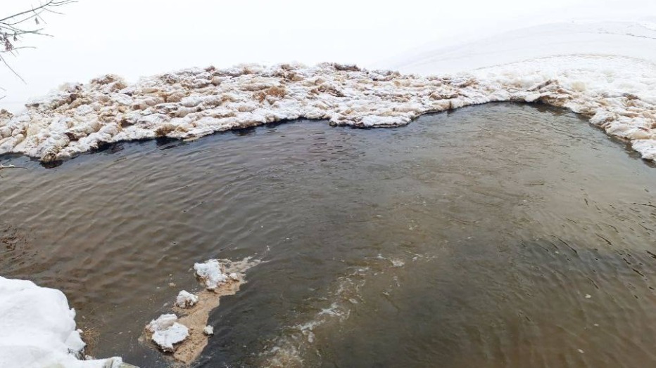 «Мосводосток» обследовал Москву-реку после того, как в воде заметили белую пену