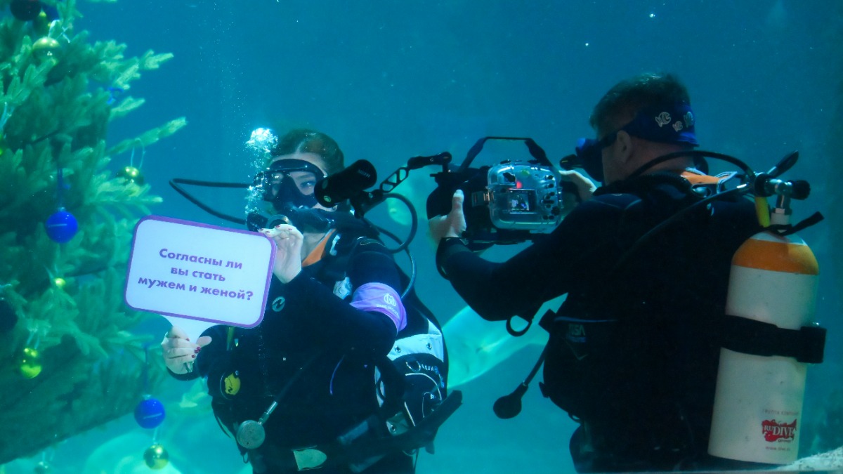 Подводные церемонии бракосочетания прошли в главном морском аквариуме «Москвариума»