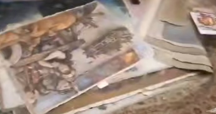 Коллекция картин, которую украли в Подмосковье, принадлежала академику Карцеву