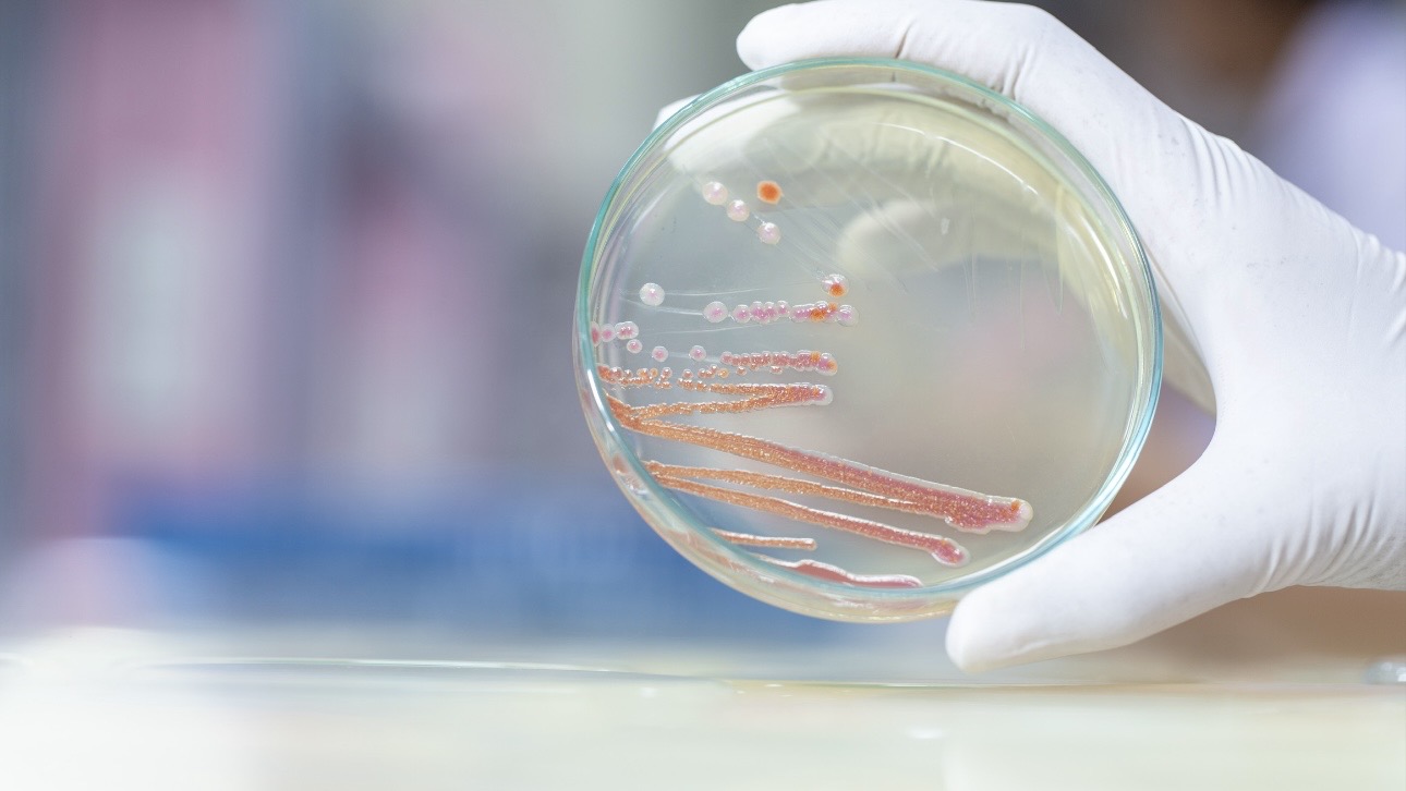 Почему умерли девять младенцев в роддоме Новокузнецка