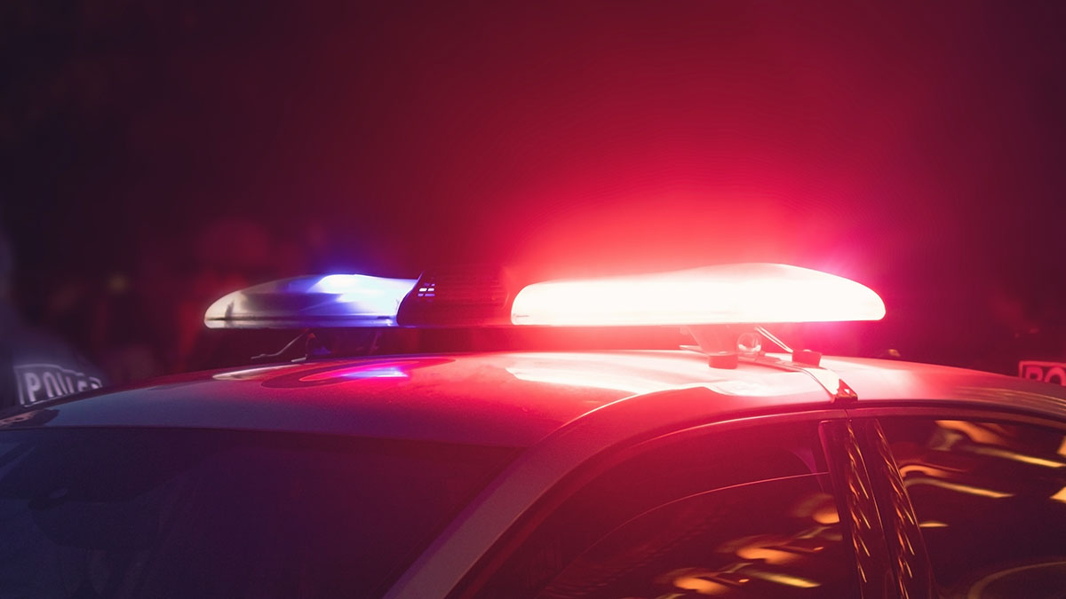 Появились новые подробности убийства девятилетнего мальчика в Ленобласти