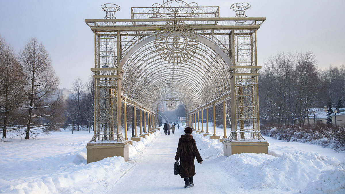 Погода в Москве 31 января 2026 года