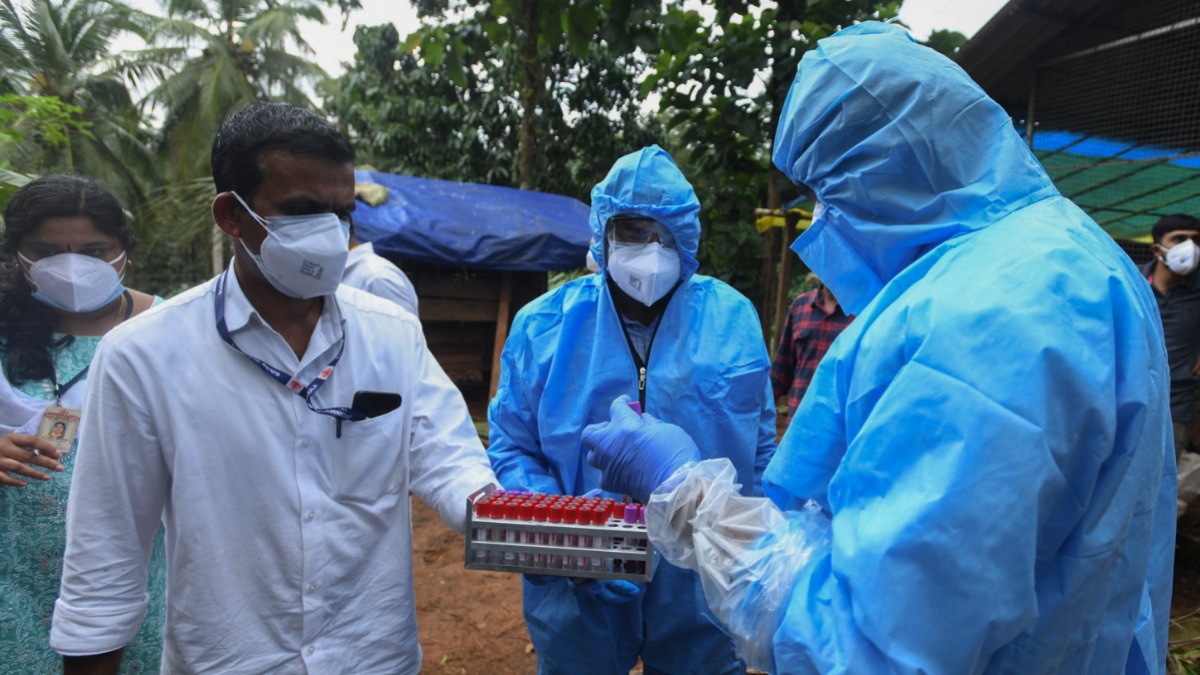 Медработники в Индии собирают образцы крови