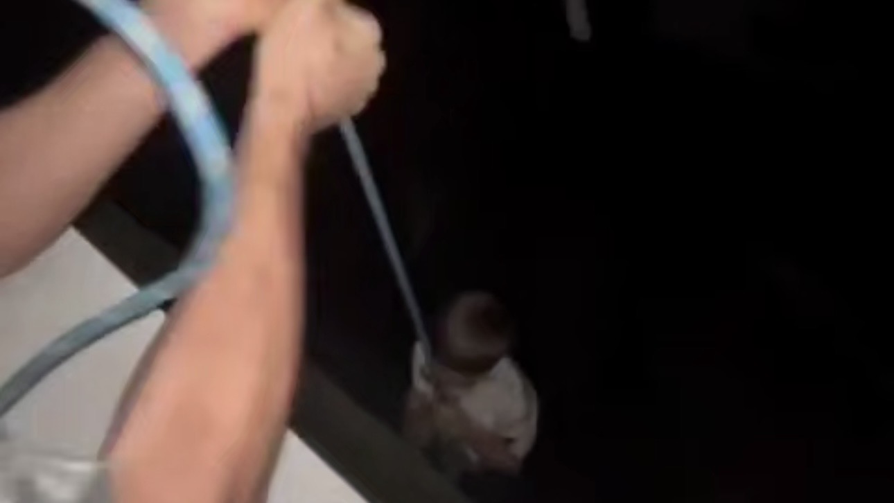 Отец спустил сына с балкона на тросе в Воронеже: что грозит мужчине, мнение юриста и психолога