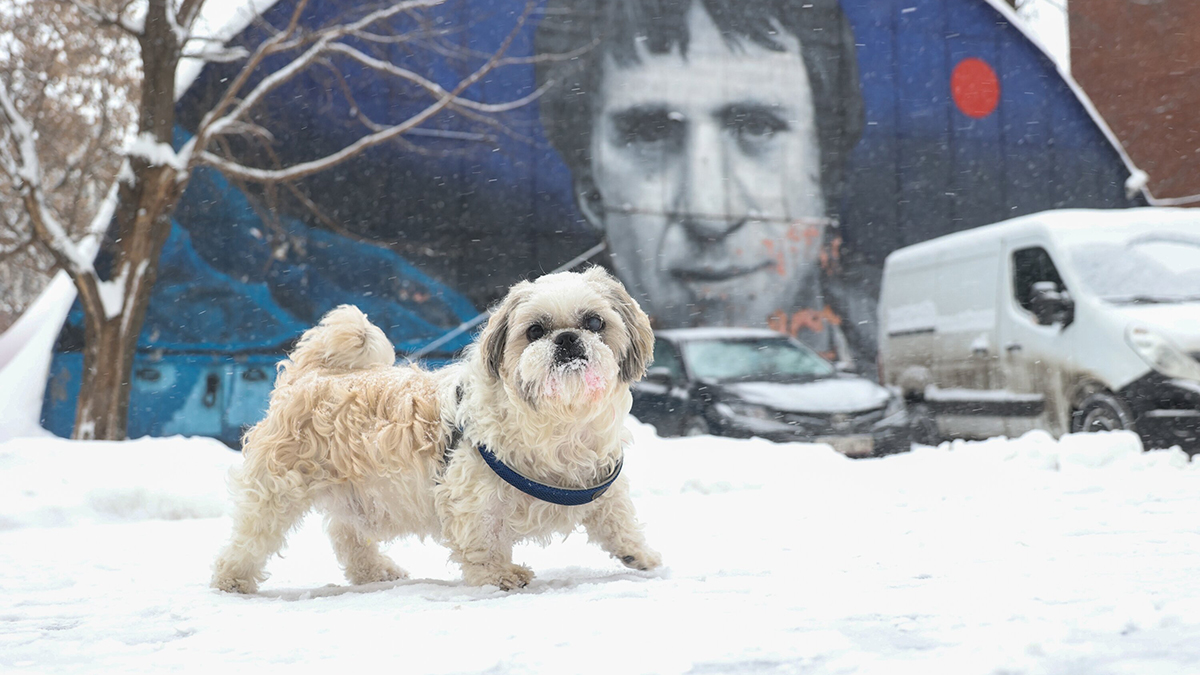 Какими будут последствиях рекордных осадков в Москве