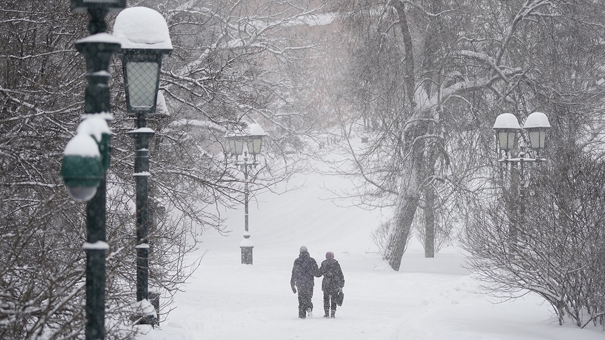 Погода в Москве 3 февраля 2026 года