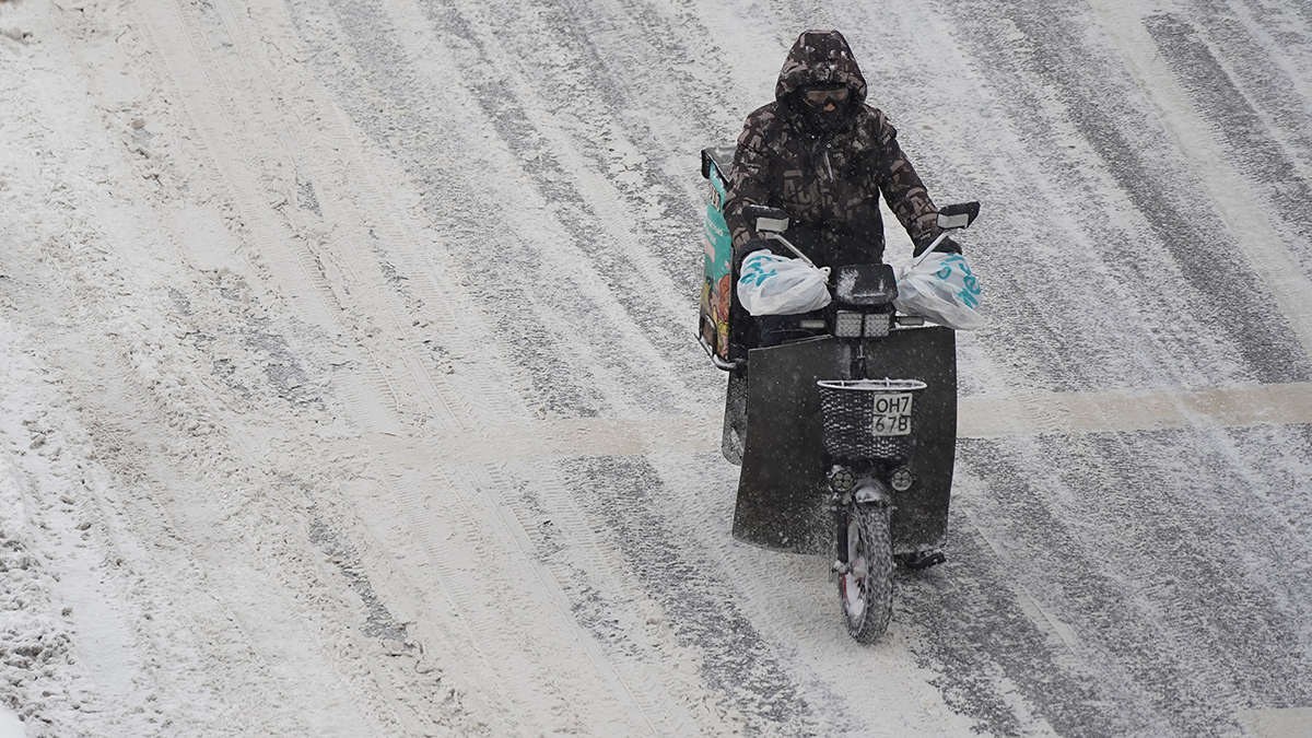 Снег в конце апреля усилил спрос на сладости и одежду для животных в Москве