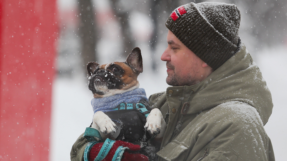Погода в Москве 1 февраля 2026 года