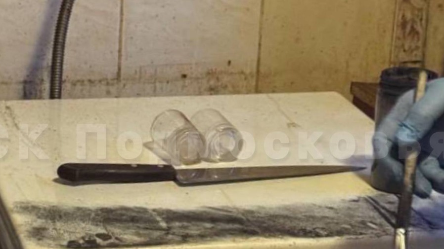 Бывший зэк зарезал знакомого в квартире дома в Подмосковье