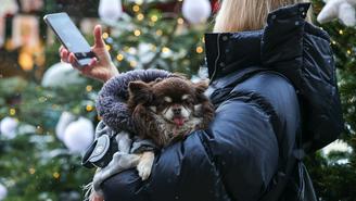 Какие болезни обостряются на холоде