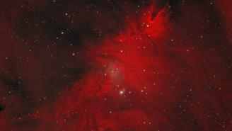 Роскосмос в канун Рождества показал космическую елку