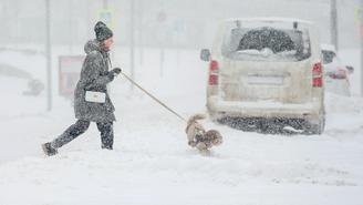 На Москву надвигается мощный снегопад: метеоролог Позднякова рассказала, когда он закончится