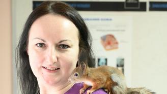 Белоснежка и 11 бельчат: как москвичка спасает попавших в беду зверьков