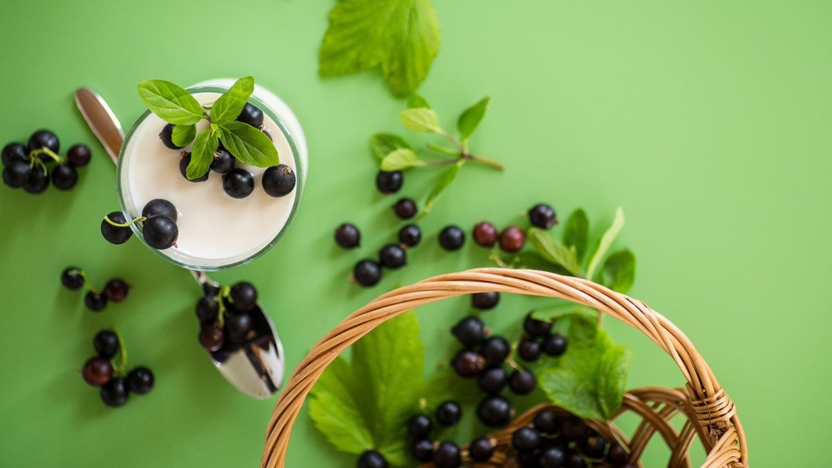 Польза черной смородины для здоровья