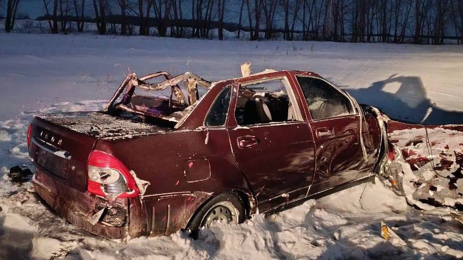 Автомобиль влетел в двух лошадей в Омской области, есть погибшие