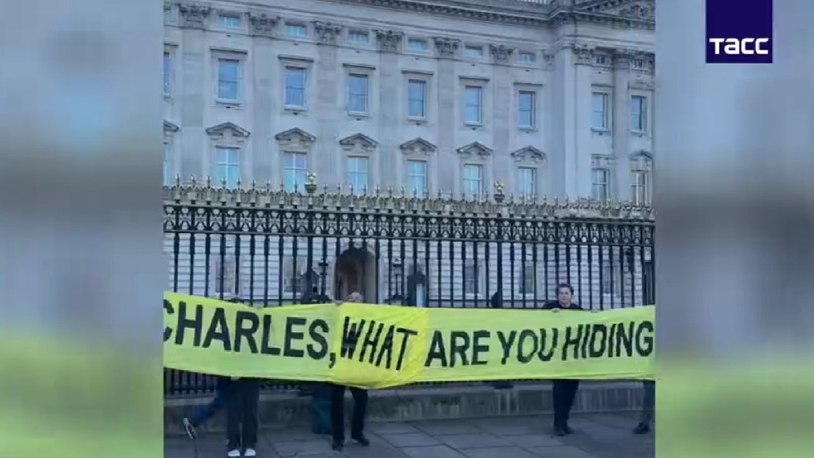 Протест из-за связей королевской семьи с Эпштейном прошел у Букингемского дворца