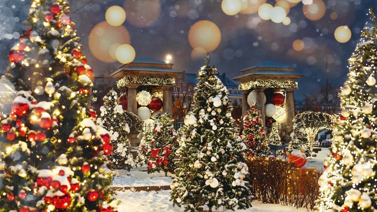 Анастасия Ракова анонсировала эксклюзивную церемонию бракосочетания в саду «Склифа»