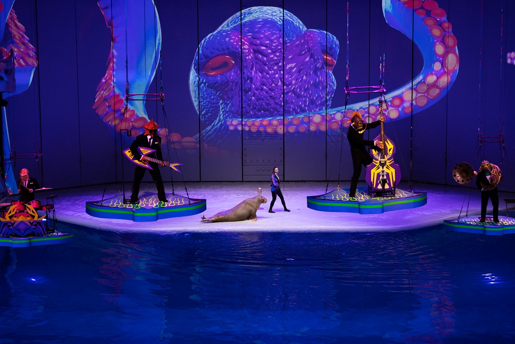 Популярное шоу «Море снов» возвращается на сцену «Москвариума»