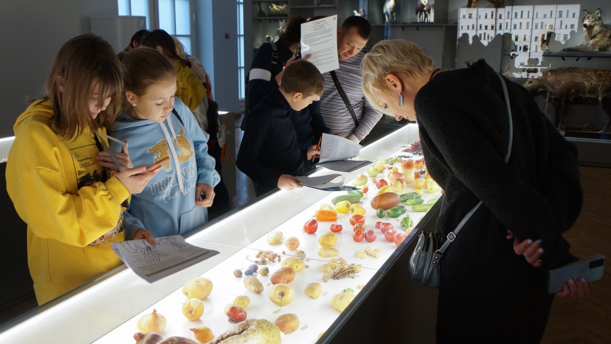 Посетители «Биокластера» на ВДНХ высоко оценили павильон «Пчеловодство»