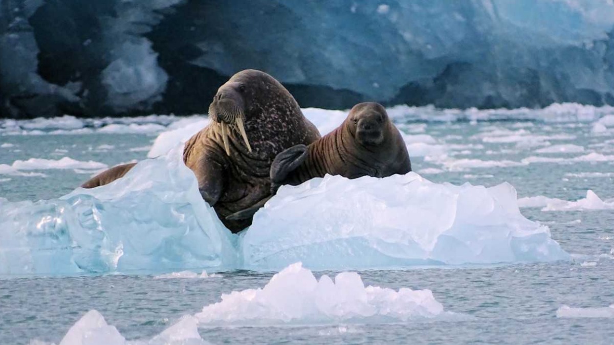 «Газпром нефть» наметила долгосрочные цели в экологии