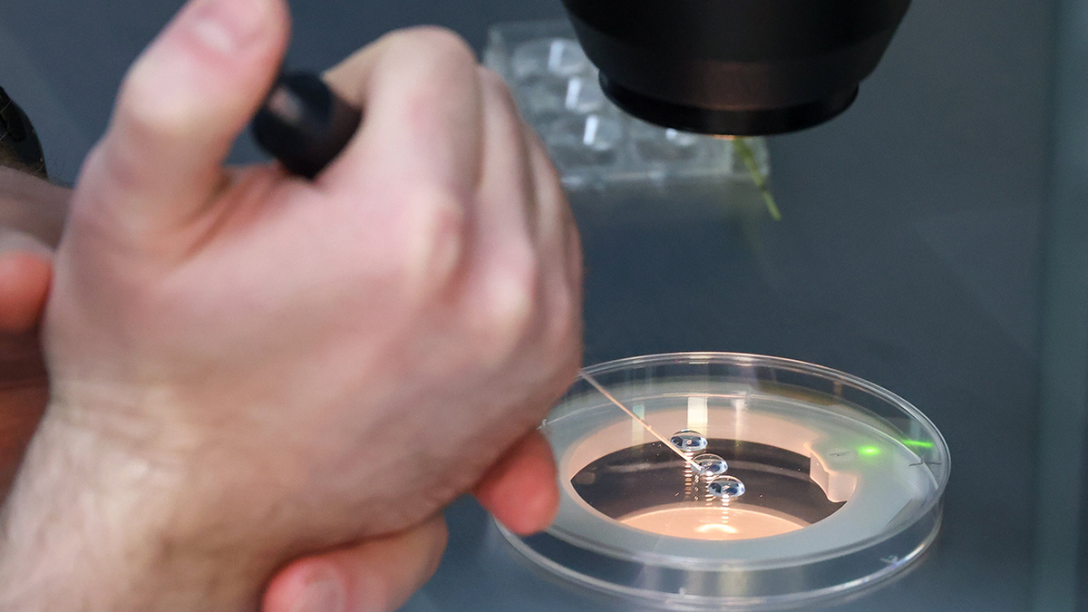 В Госдуме предложили разрешить записывать умершего отцом ребенка при ЭКО