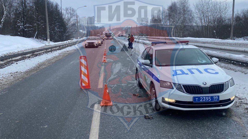 Водитель «Хавала» насмерть сбил пешехода в Новой Москве