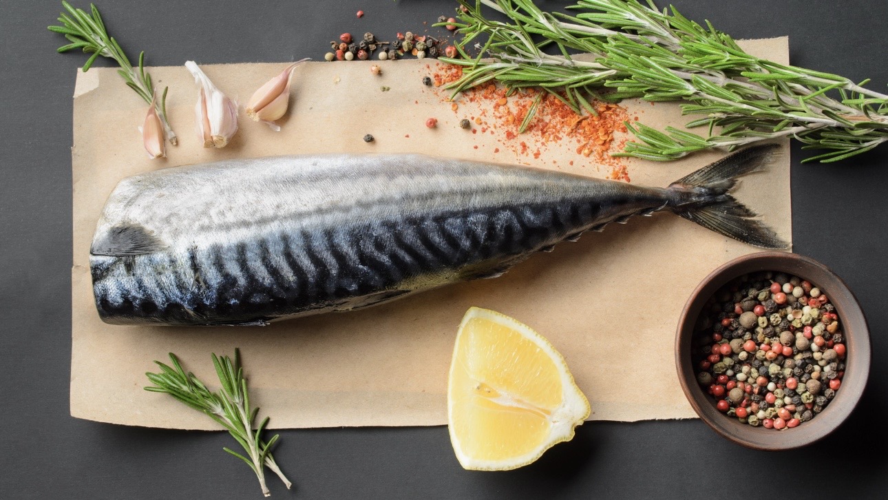 Чем полезна скумбрия