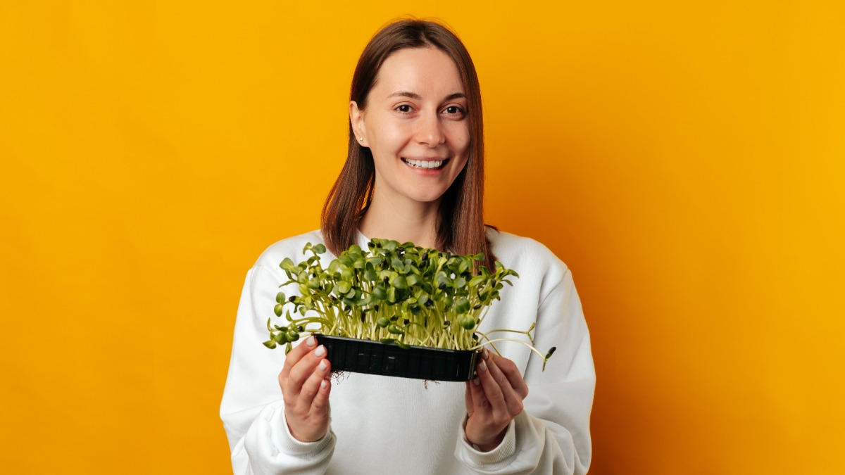 Лоточек с микрозеленью поместится на любом подоконнике, а выращивание этой витаминной бомбы потребует минимальных затрат