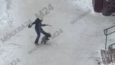 Девочка избила собаку на прогулке в одном из дворов в Щелкове