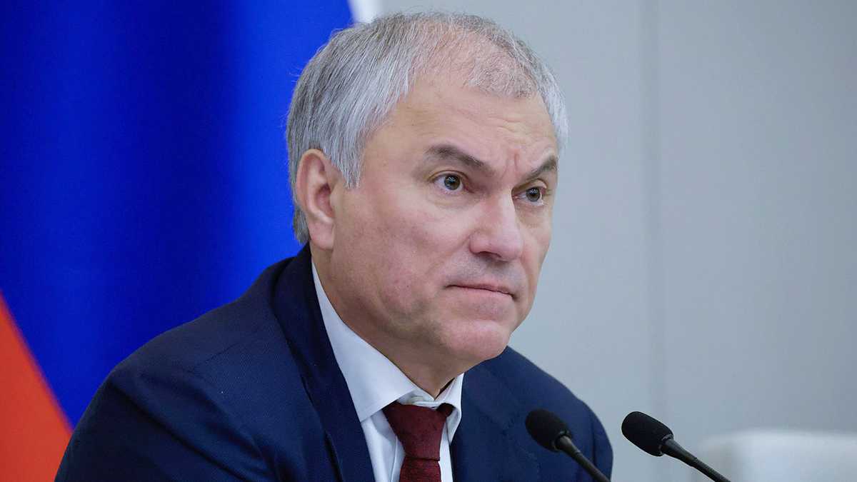 Володин: Закон о поддержке многодетных семей приняли в Госдуме