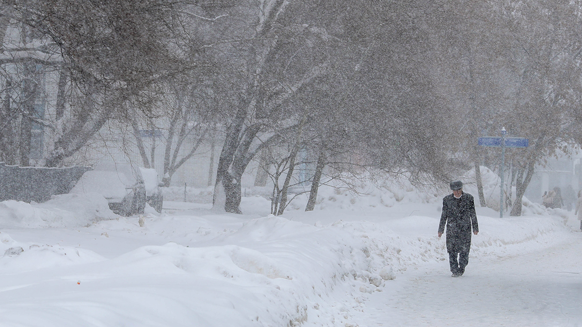 Гидрометцентр: Снегопад в Московском регионе продлится до утра пятницы