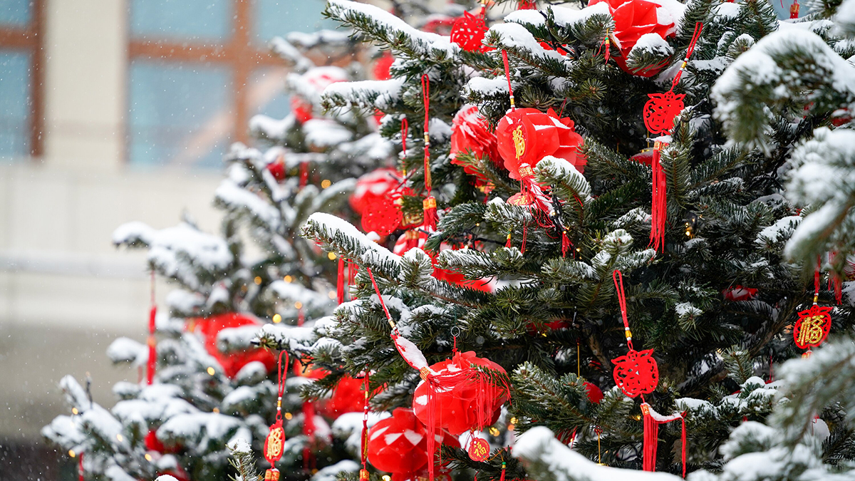 Медиабанк «Мосфото» показал, как в столице встречают китайский Новый год