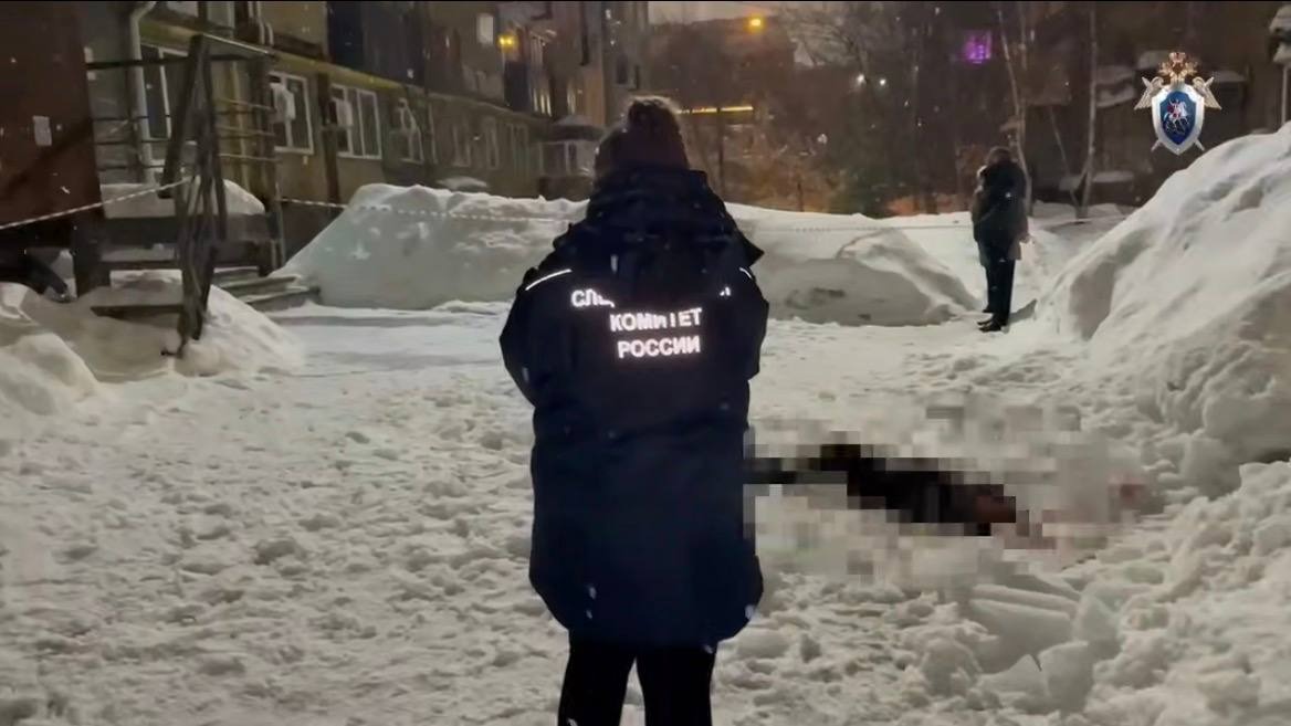 Девушка погибла в Нижнем Новгороде из-за падения наледи с крыши