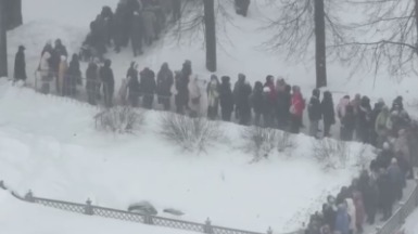 Несколько сотен человек выстроились в очередь в Аптекарский огород