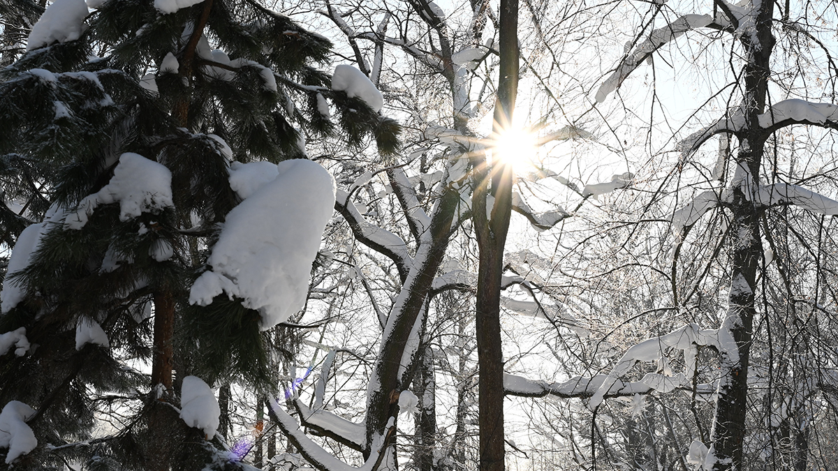 Несостыковка в показаниях свидетелей появилась в деле Усольцевых