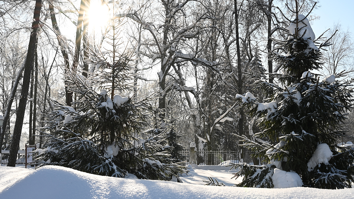 Московские учреждения культуры расширяют экологические инициативы