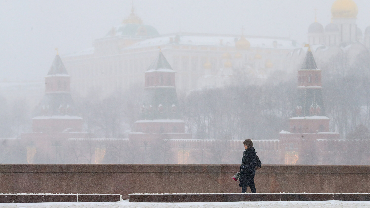 Метеоролог Позднякова предупредила об «аде» в Москве из-за метели 19 февраля