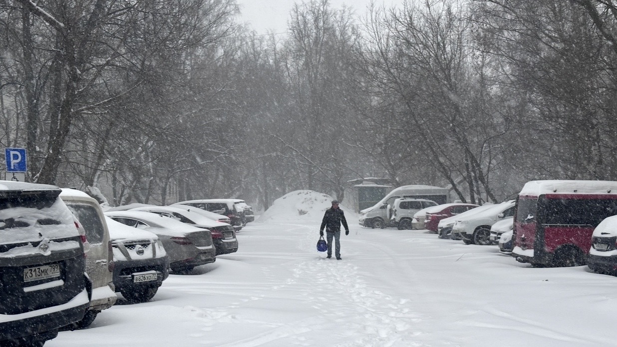 Снегопад в Москве 19 февраля может побить два рекорда